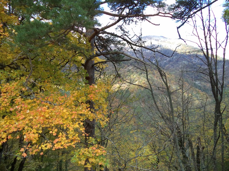 100dsc00562.jpg