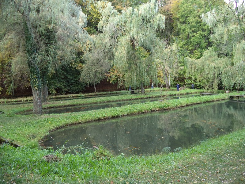 90dsc00547.jpg