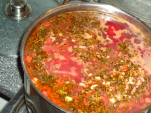 dsc02154.jpg